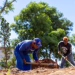 Juros futuros renovam mínimas após diretor do BC descartar alta da Selic