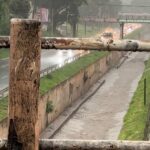 Elenco do Flamengo vale mais que o dobro do Cruz Azul, rival no Mundial