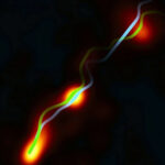 Senado vai premiar instituições que combatem violência contra a mulher