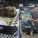 Crescimento de demanda por tecnologia climática gera oportunidades