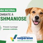COPA GOIÁS DE KICKBOXING REÚNE MAIS DE 100 ATLETAS EM VALPARAÍSO E REFORÇA CIDADE COMO REFERÊNCIA NO ESPORTE